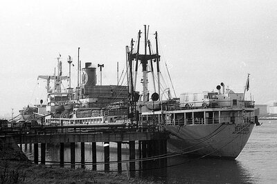 cleopatra 280176.jpg