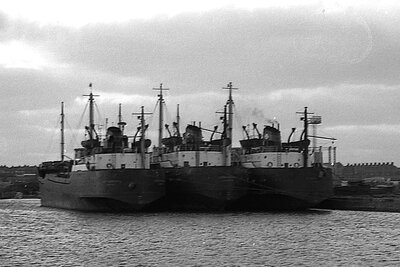 chesterbrook + corkbrook + clarebrook 010276.jpg