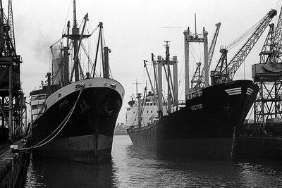 lycaon + victor 050276 x1.jpg