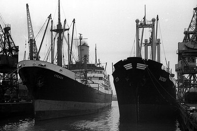 lycaon + victor 050276 x2.jpg