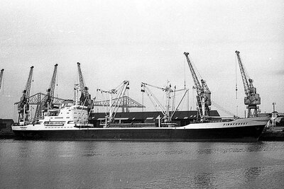 finnforest 080276 x1.jpg