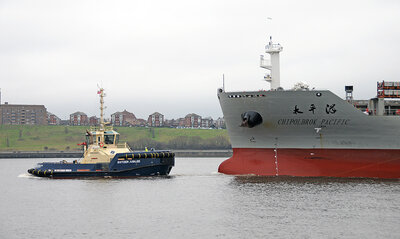 Chipolbrok Pacific (b) .jpg