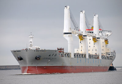 Chipolbrok Pacific (d)  .jpg