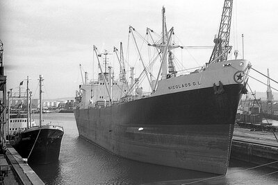 nicolaos d.l. 250276.jpg