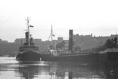 cervia + hero 040376 x2.jpg