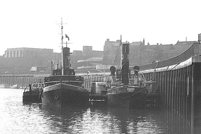 hero + cervia 030376 x2.jpg